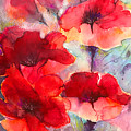 Abstract poppies