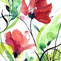 Two poppies